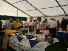 ournewhaven.org.uk Searchlight