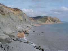 discoveringfossils.co.uk Seatown
