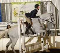 anglo-arabians.com Seaz