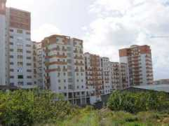 echoroukonline.com Sebala