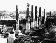shechem.org Sebastia