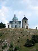 Sebestiana