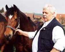 welsh-pony.de Sebode