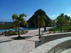 Secarea