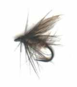 glyndwr-fishery.co.uk Sedg