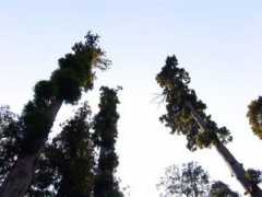 panoramio.com Sedir