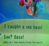 theaoife.org Seebass