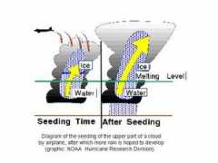 Seeding