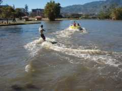 Seedoo
