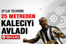 Seedorff
