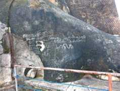 Seegiri