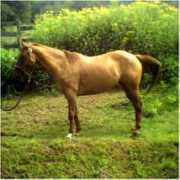 Seeka