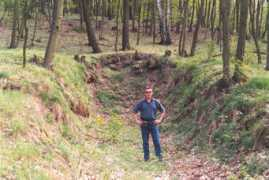 Seelow
