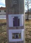 Seen