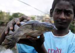 Seetharama