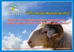 sefkateli.org.tr Sefkat