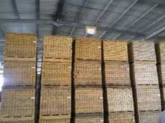 legno.fordaq.com Segati
