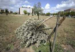 roma.corriere.it Segati