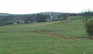 geograph.org.uk Seggie