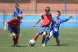 elperiodicodearagon.com Segia