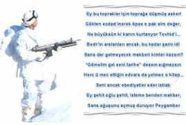 eminimsi.com Sehid