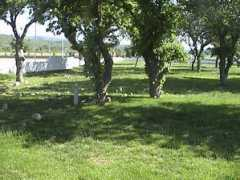Sehir