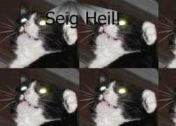 ytmnd.com Seig