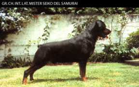 Seik