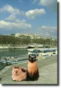 Seine