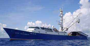 trimarinegroup.com Seiner