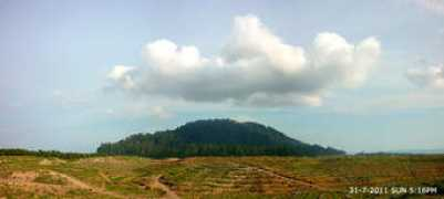 etawau.com Sejadi
