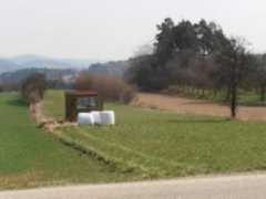 Sejrek