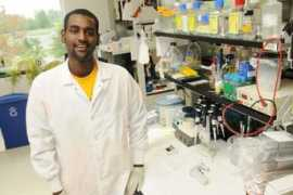 news.gmu.edu Selamawi