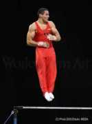 gymnasticsonline.co.uk Selariu