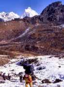 myhimalayas.com Selele