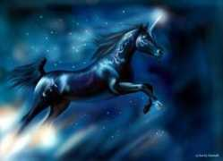 unicornjorge.com Selenah
