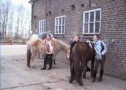 maneges.nl Selevia
