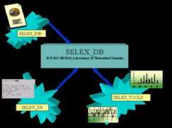 Selex