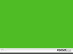 colourlovers.com Selikur
