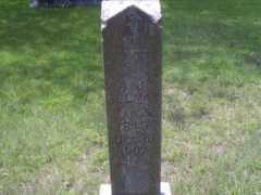 freepages.genealogy.rootsweb.ancestry.com Selmanaj