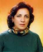 w3.gazi.edu.tr Selmin