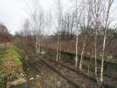 Selsdon