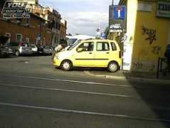 youreporter.it Selvaggi