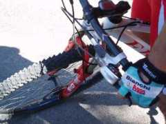digilander.libero.it Selvena