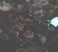 alia.customer.netspace.net.au Selyna