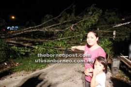 theborneopost.com Semerah