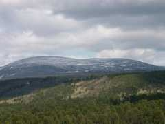 panoramio.com Seminsky