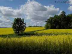 Semovic