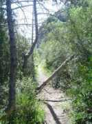 Sendero