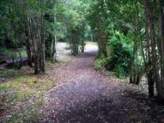 Sendero